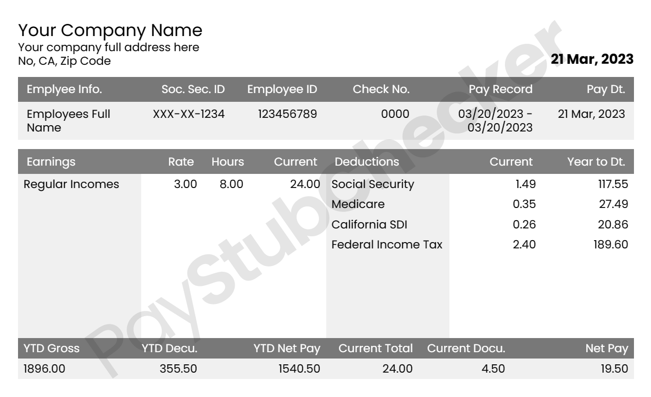123 Pay Check Stub