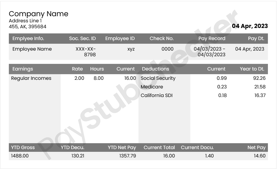 Paystub sample tamplete 5