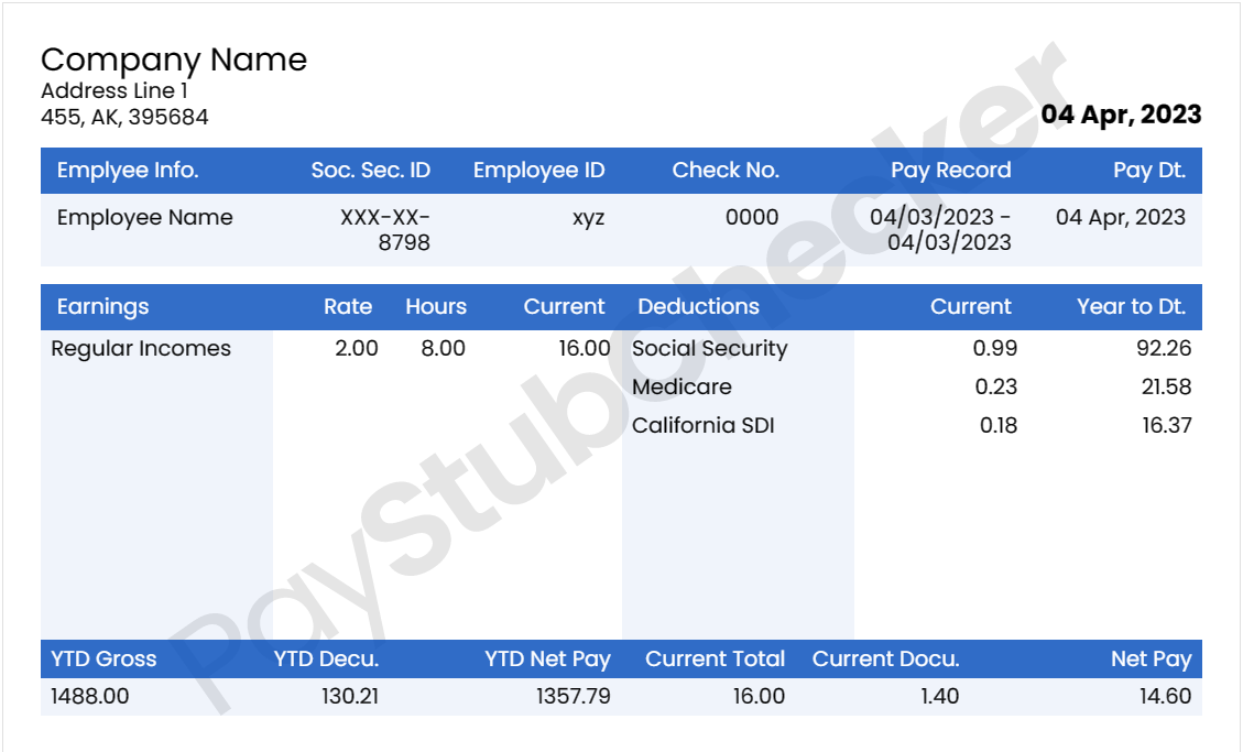 Paystub sample tamplete 6
